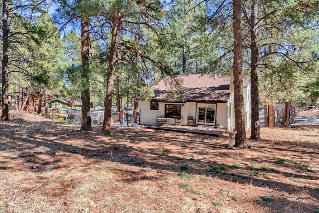 Quaint Home In The Pines 弗拉格斯塔夫 外观 照片